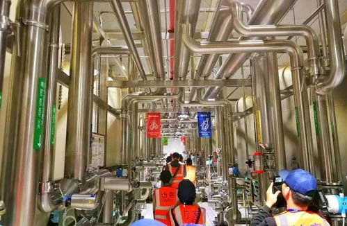 百威雪津 世界級智慧低碳工廠，黑科技護航啤酒誕生之旅與接待業務